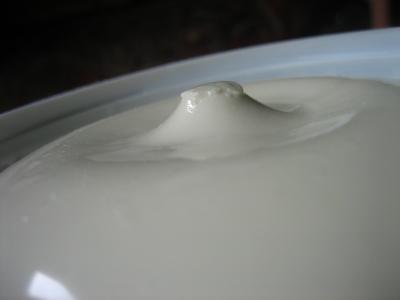 Domácí pribináček z tvarohu