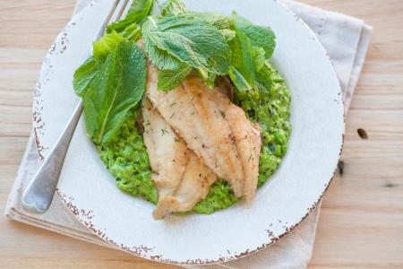 Halibut s hráškovým pyré