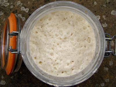 Jak udělat žitný kvásek