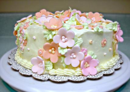 Šlehačkový dort s mandarinkami