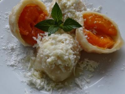 Tvarohové knedlíky s meruňkami