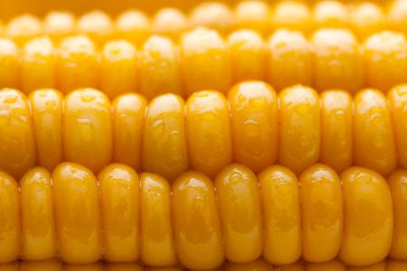 Vařená kukuřice