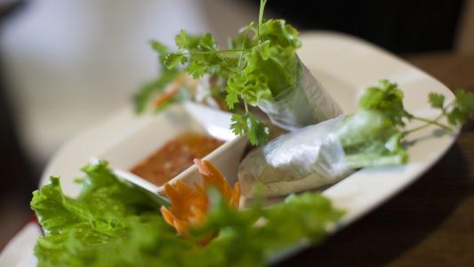 Vietnamská kuřecí rolka